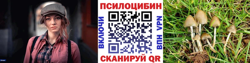 Псилоцибиновые грибы мухоморы даркнет Telegram Димитровград