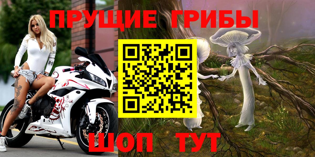 Псилоцибиновые грибы мицелий  Вход с VPN  Димитровград 