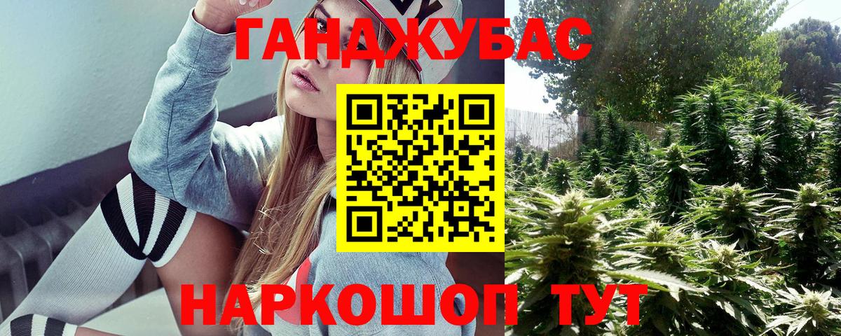 Бошки Шишки планчик  Бошки марихуана план  Димитровград  Вход с VPN  Конопля White Widow 